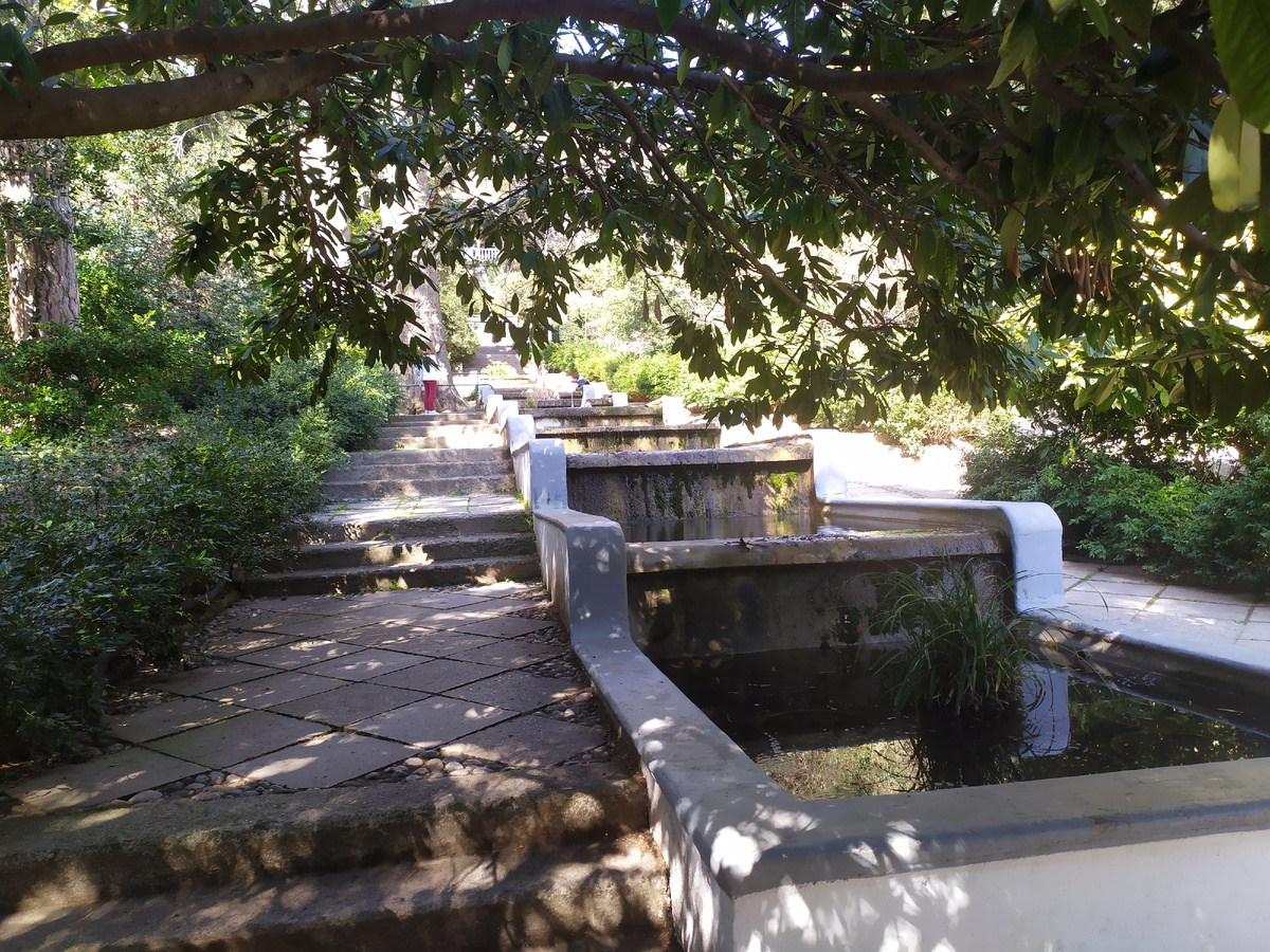 Никитский ботанический сад. Ступени каскада - это система водоотведения