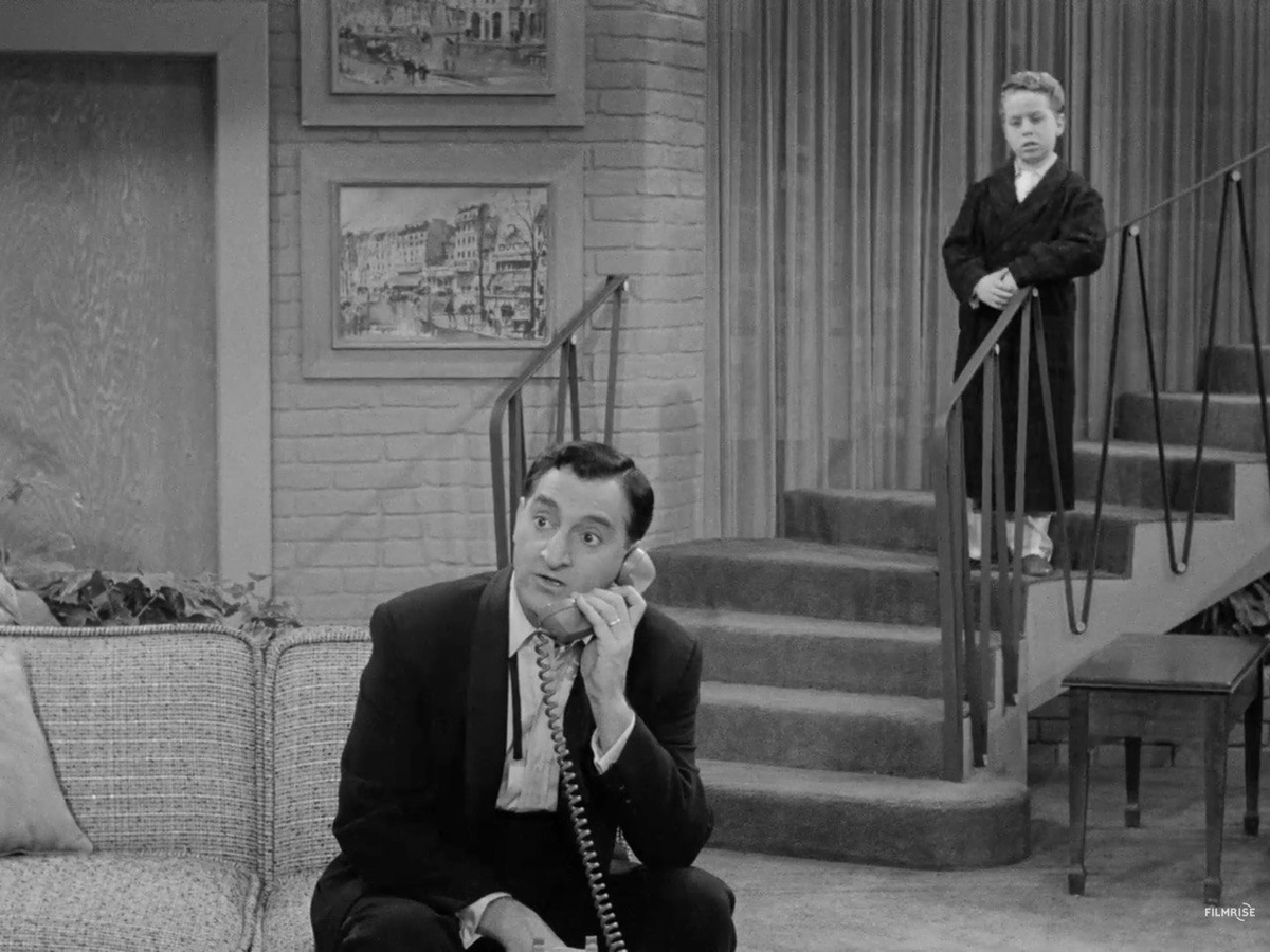 The Danny Thomas Show (season 4, episode 20)