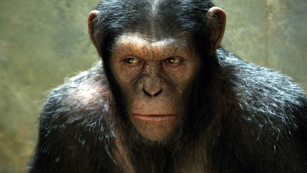 кадр из фильма