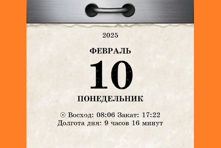 10 февраля 2025 года / 2024-2025 © АрхиФактум
