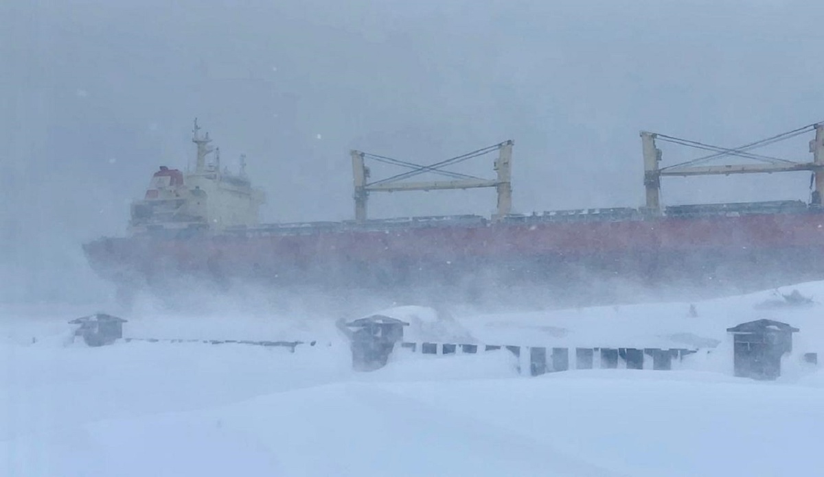 Активные действия с севшим на мель сухогрузом начинаются.  Фото: Фото: Пресс-служба правительства Сахалинской области / sakhalin.gov.ru