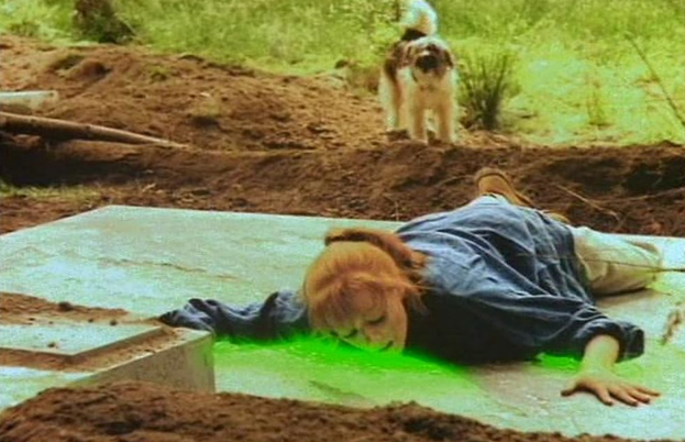 Фото находится в свободном доступе в Интернете