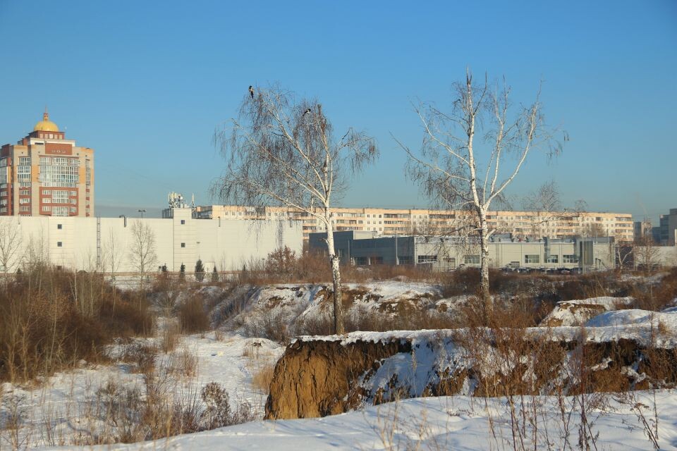    Территория по улице Шумакова,9. Ноябрь 2024 года. Источник: Виталий Барабаш