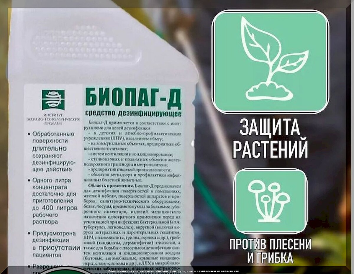 https://vk.com/photo-159774511_457269681