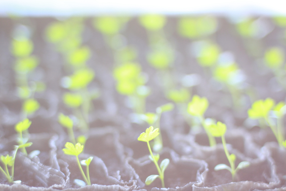 Фото с amurogorod.ru