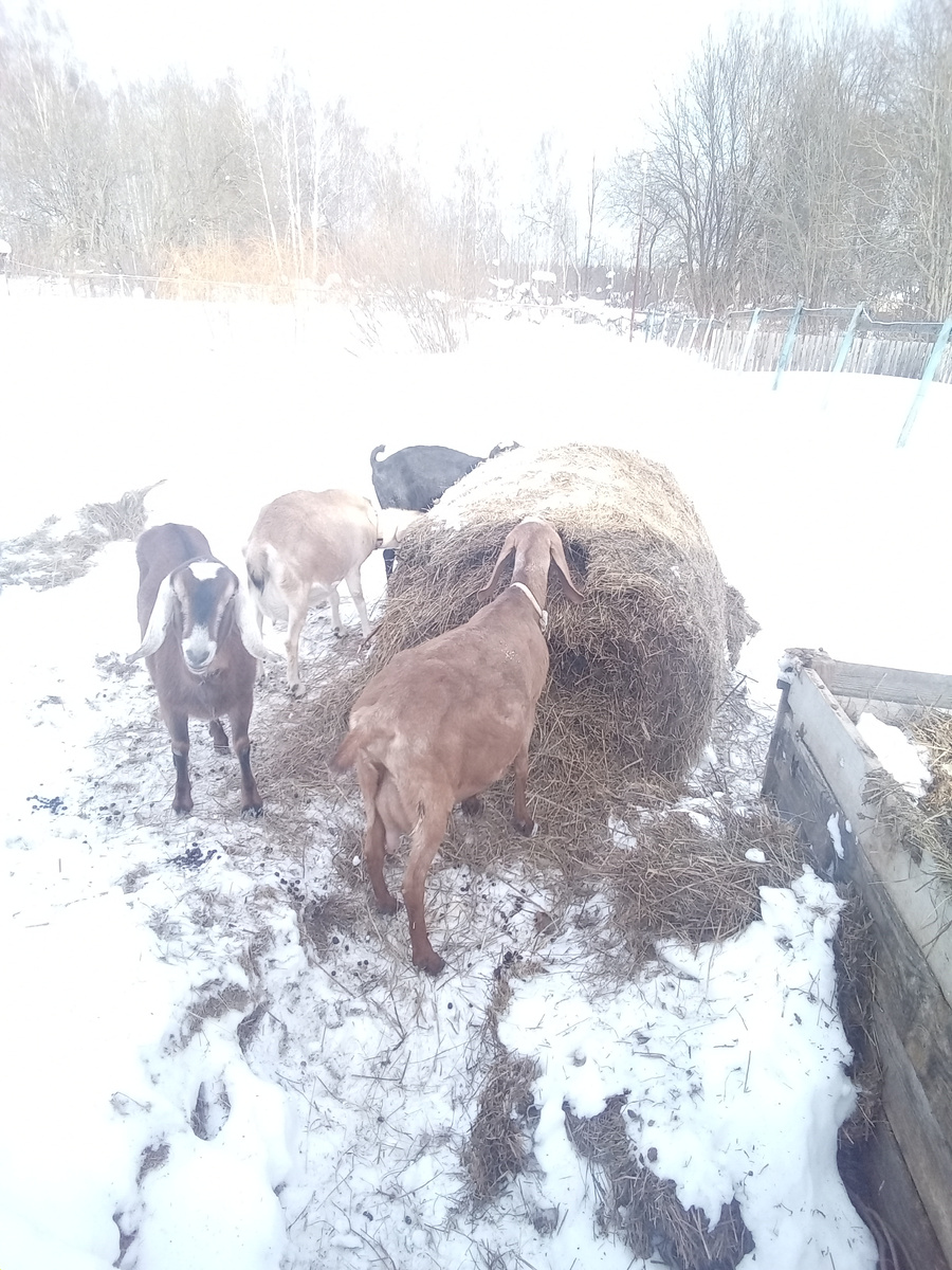 Фото автора.