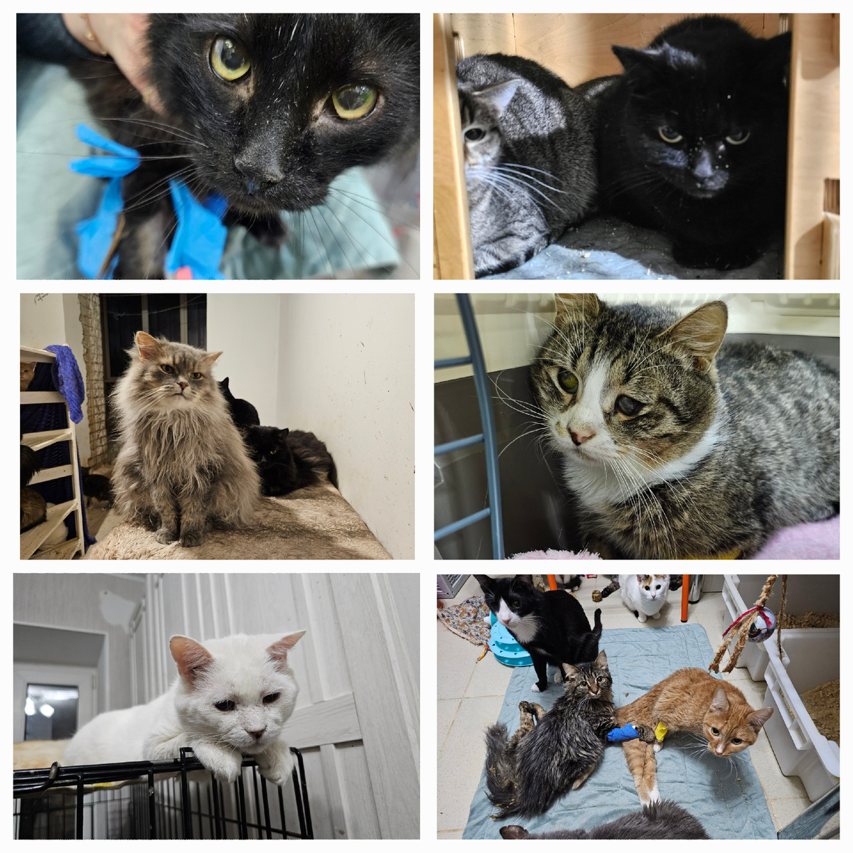 Фото автора. Ребята.