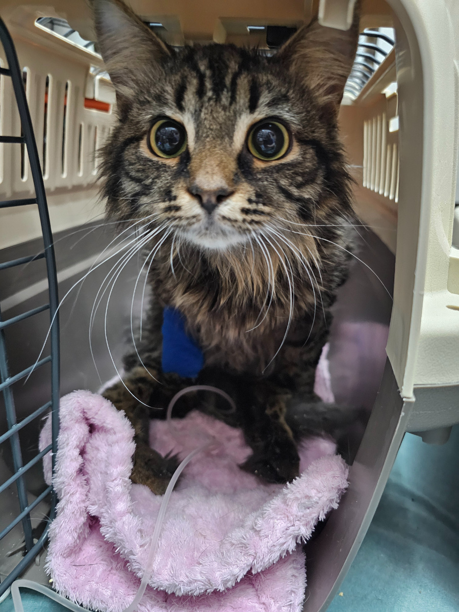 Фото автора. Толяша спинальник.