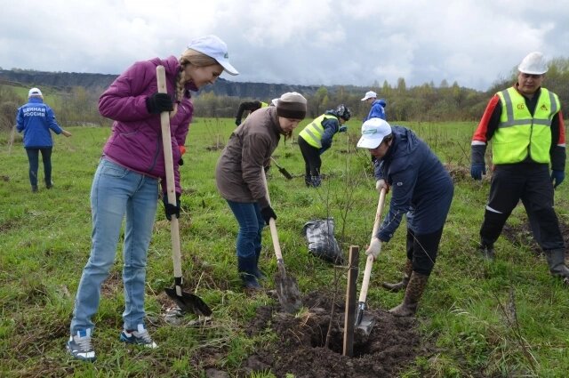    Не понятно, зачем весной 2018 г. в Тайлепе между домами и горным отвалом высаживали деревья, если спустя пару месяцев начали расселять деревню. Фото: администрация Новокузнецка