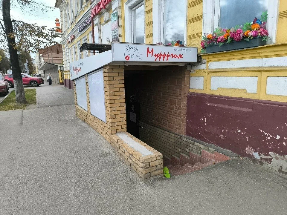 вход в котокафе ист: Яндекс.карты