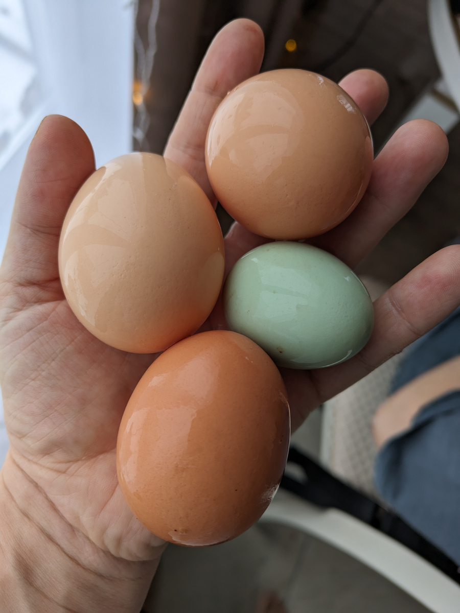 А как вы думаете может оно просто посинело от холода?