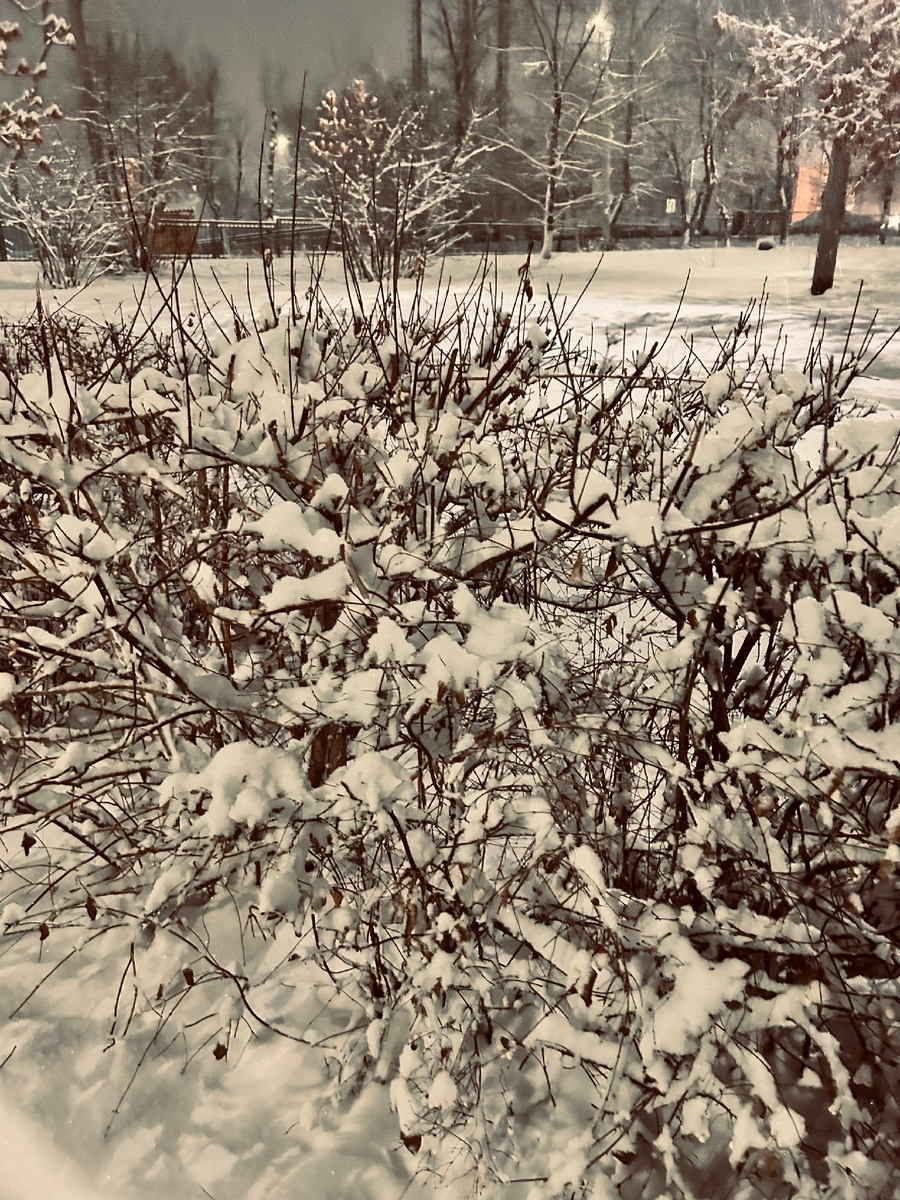 Фотография автора канала.