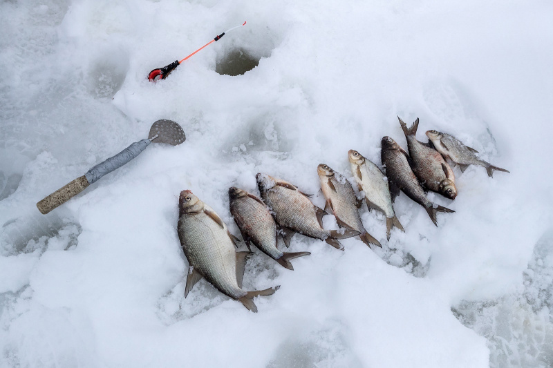    Известный фотограф Карелии просит рыбаков о помощиИлья Тимин