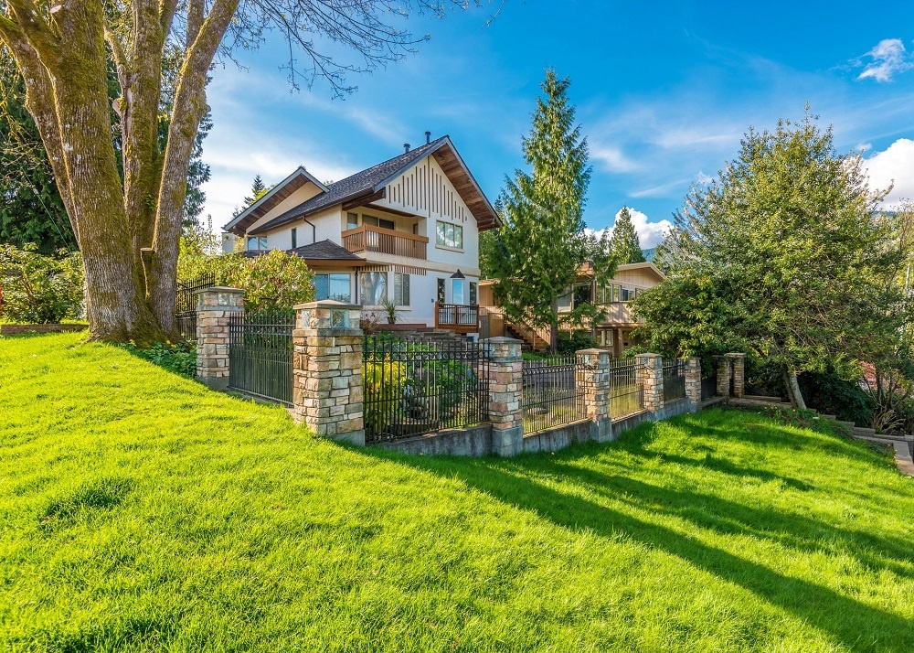 Яндекс. Картинки