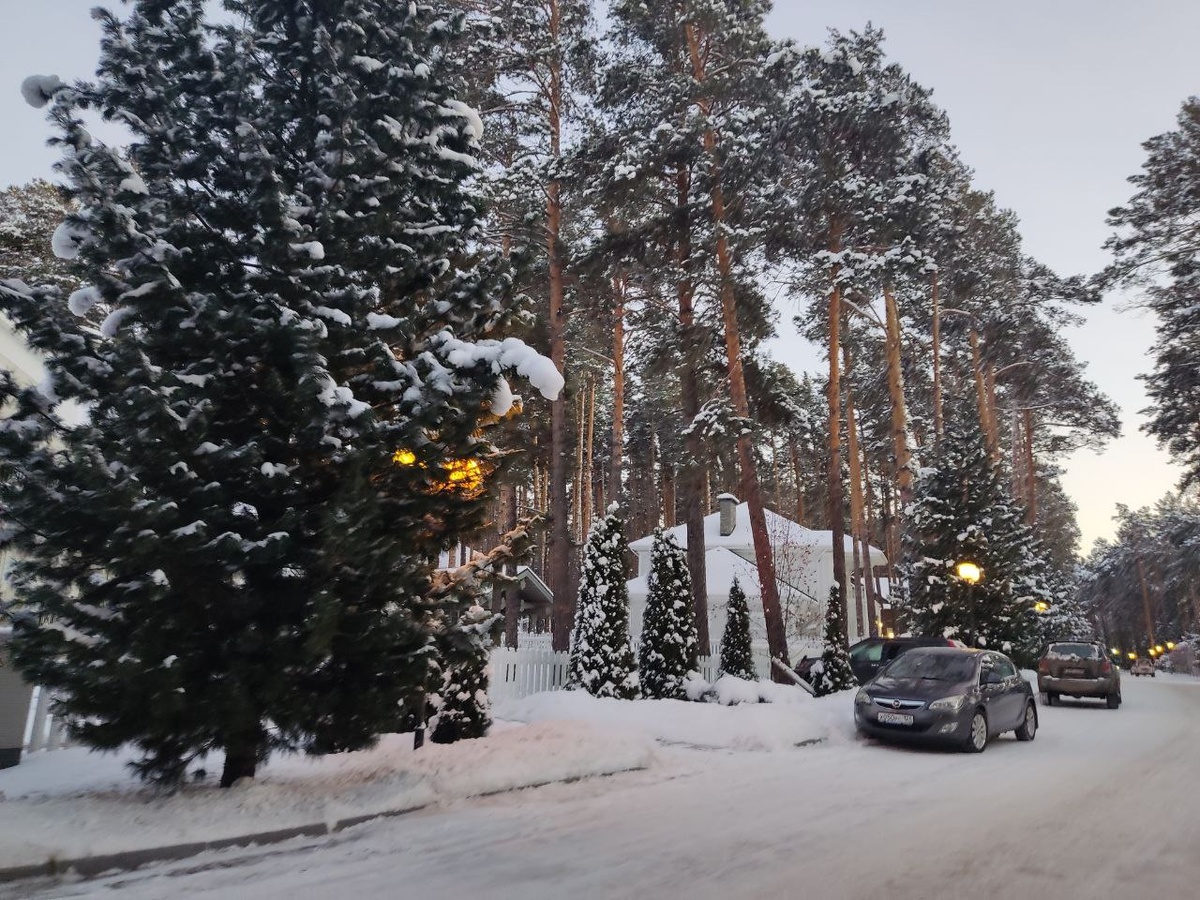     В Соснах, бору на берегу Енисея, живут топовые красноярские чиновники и бизнесмены. В Соснах же находится резиденция губернатора Красноярского края