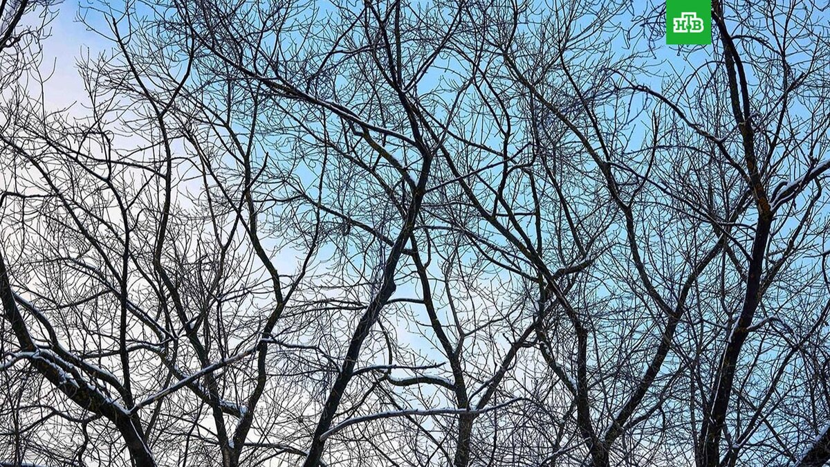    Фото: М. Денисова / mos.ru