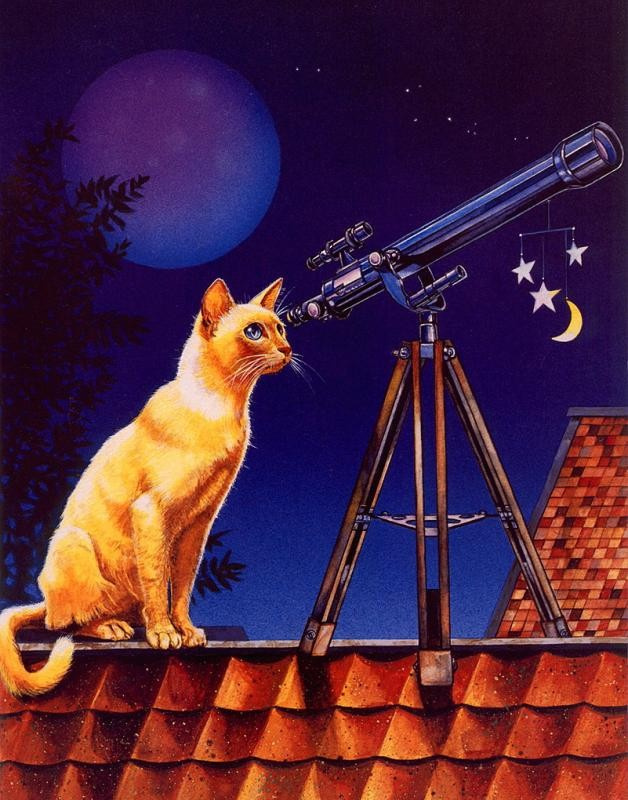 Кот Коперник смотрит в телескоп Хаббла. 