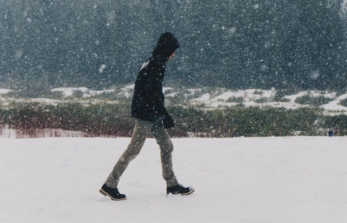 Яндекс картинки