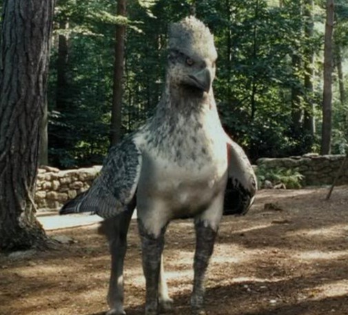 Клювокрыл встречается в "Гарри Поттер и узники Азкобана"