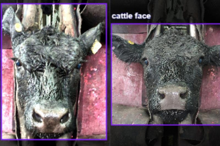 Фото предоставлено Алексеем Ручаем