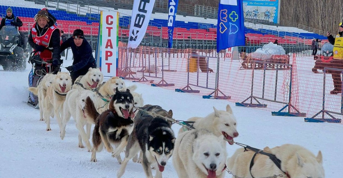 Фото: паблик гонки «Берингия.Авача-2025» в социальной сети ВКонтакте