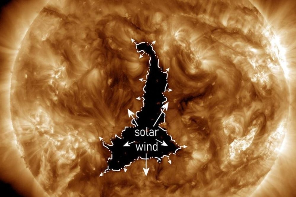 Вот такая огромная дыра образовалась на Солнце (скриншот автора из открытого источника)