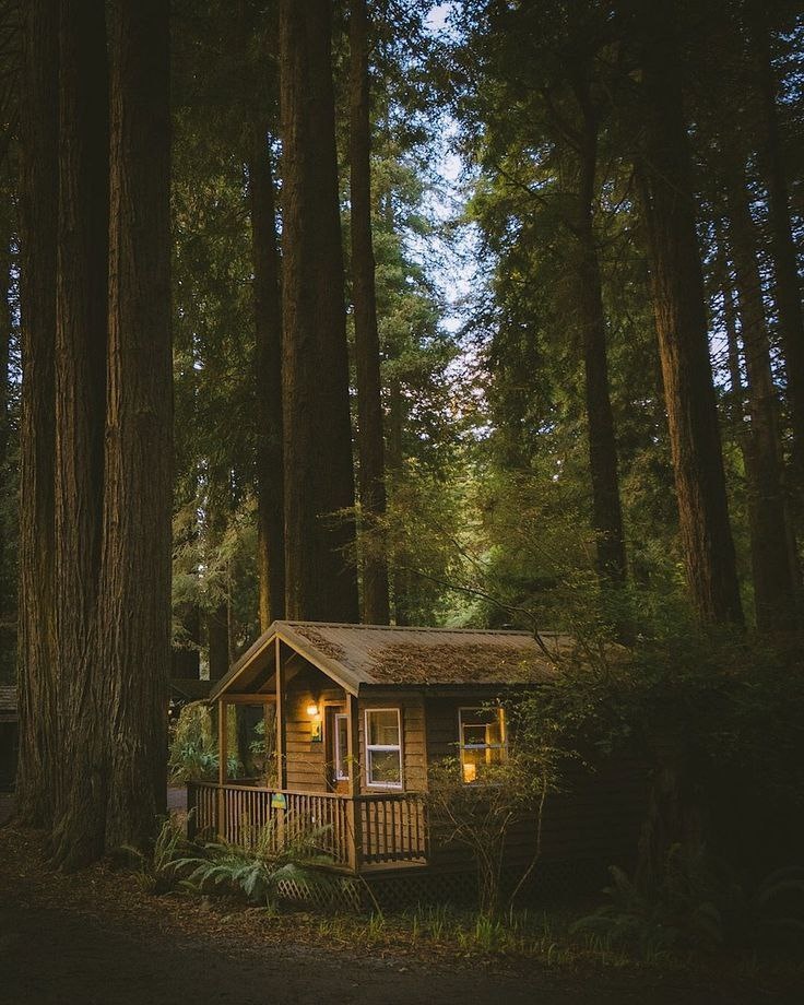 Из открытых источников