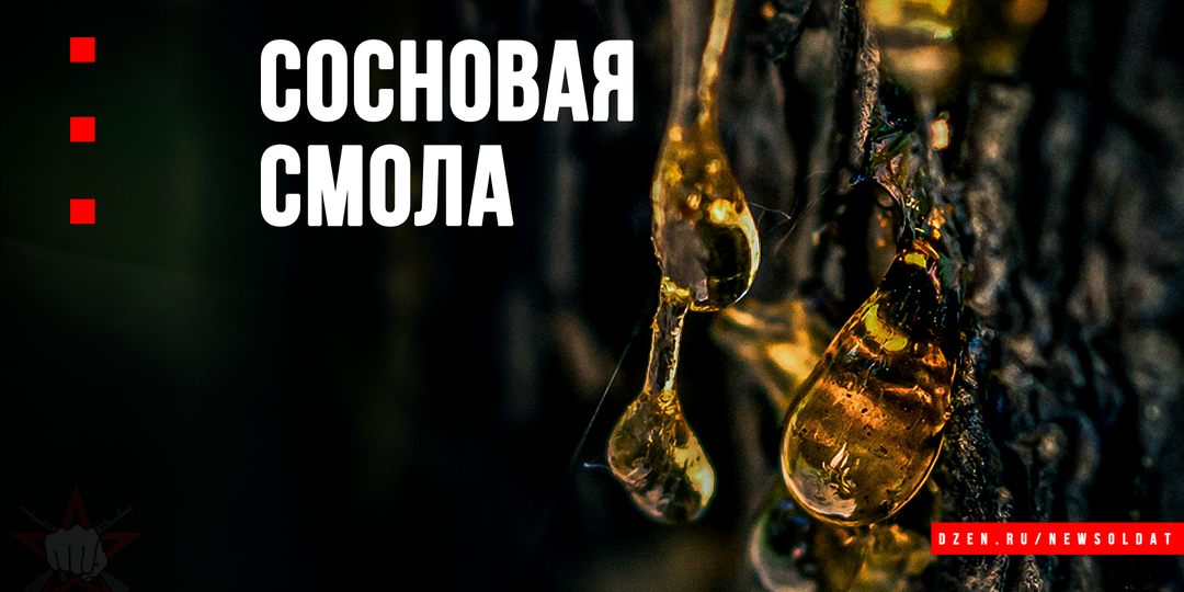 5 полезных способов использования сосновой смолы