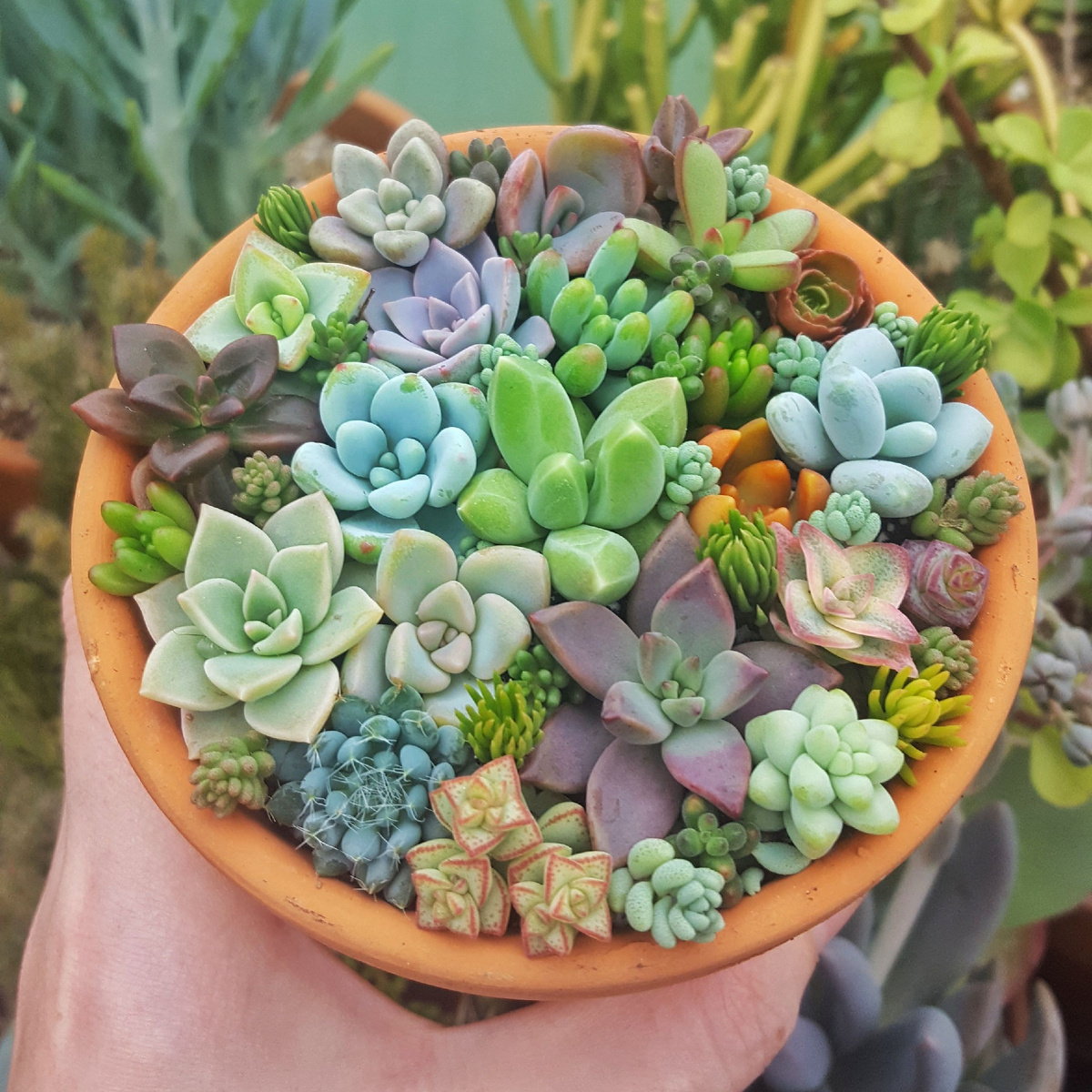 "Даа, мы так можем!"