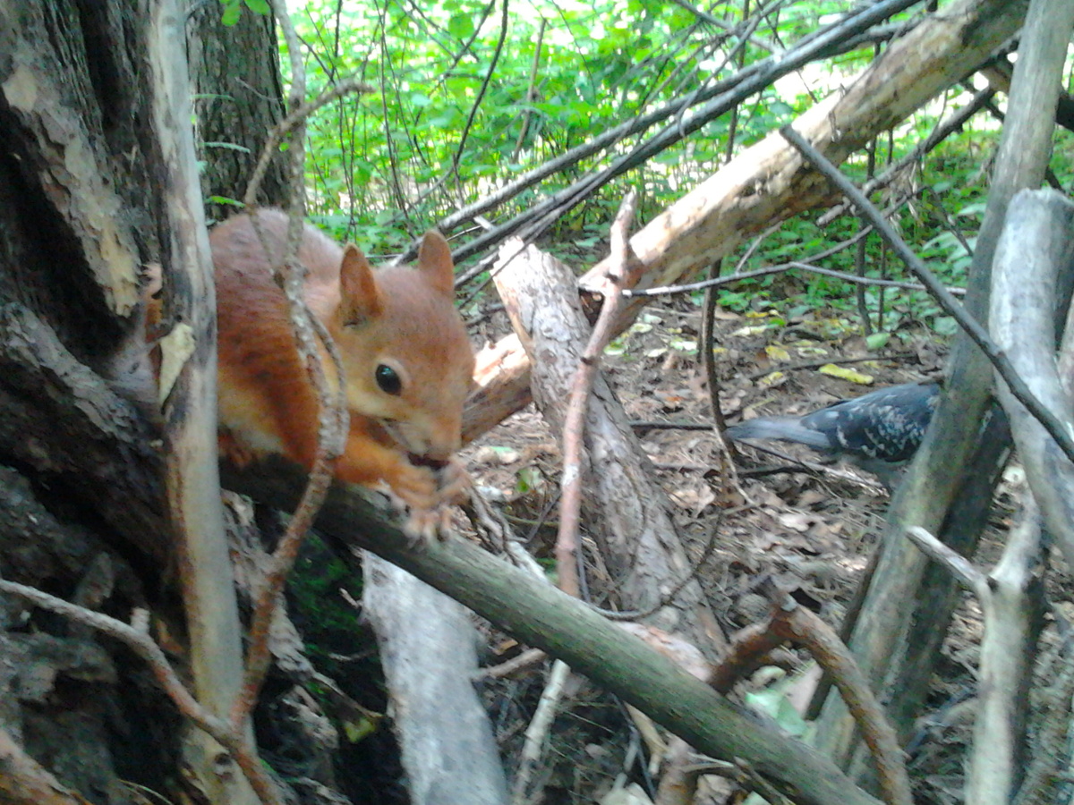 Фото автора