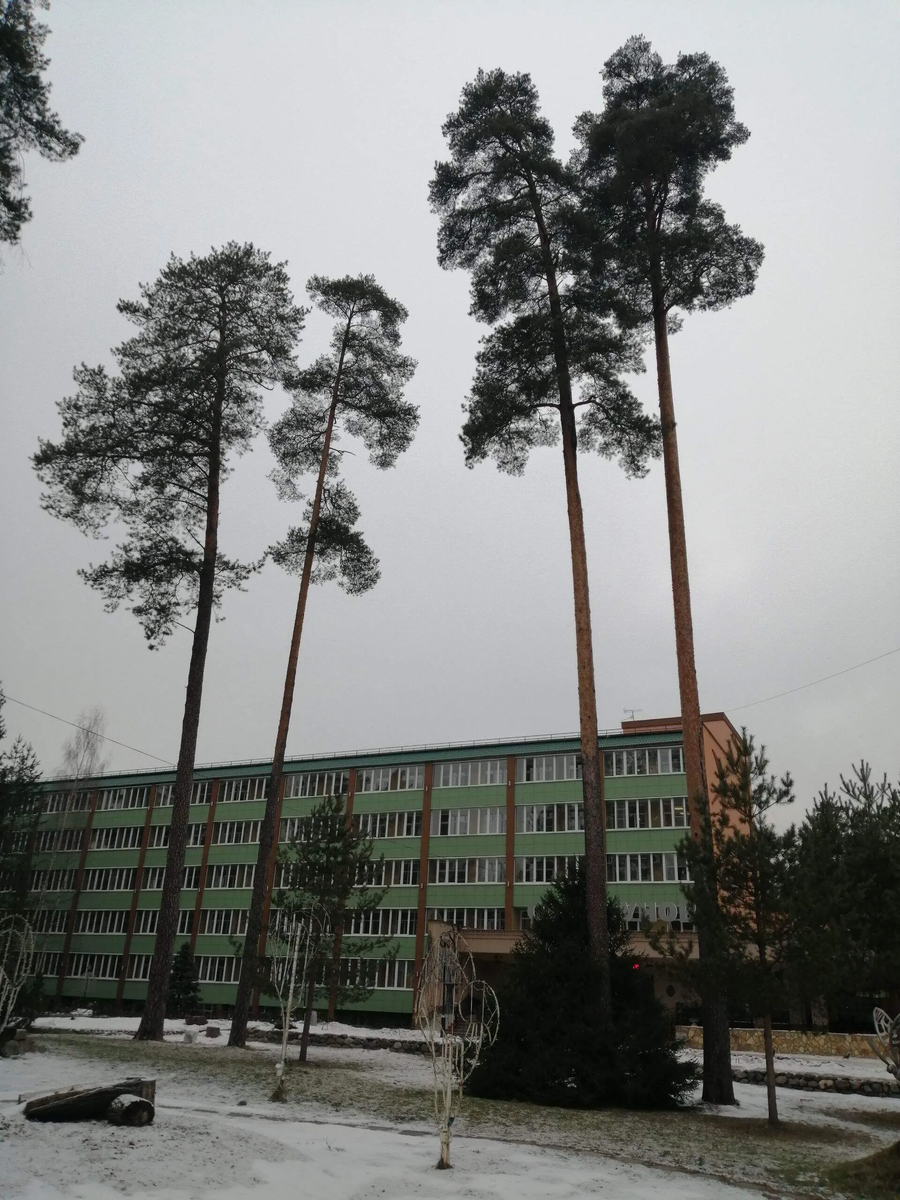 Фото автора.