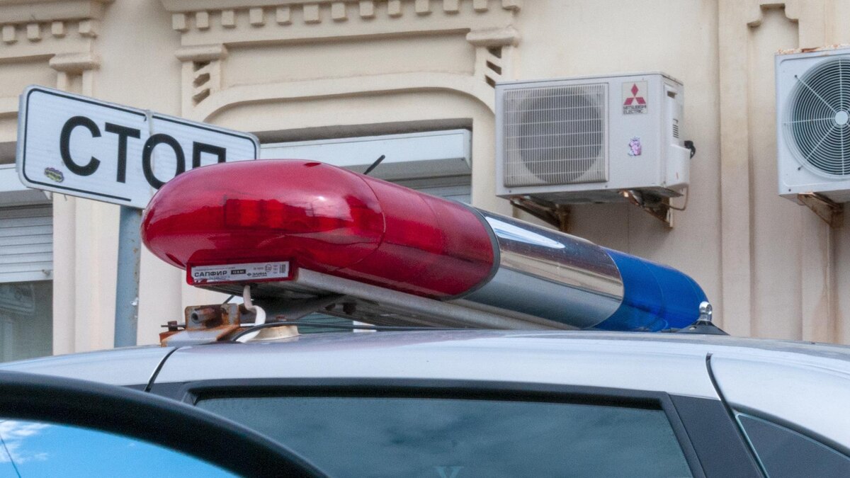    Фото: Svetlana Vozmilova/globallookpress.com