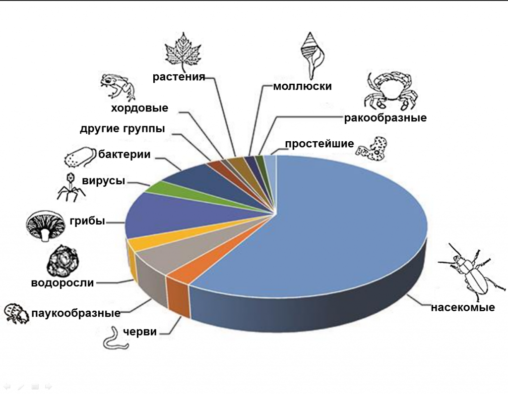  
Рис.1. Диаграмма, показывающая предполагаемые пропорции различных групп организмов по количеству видов на Земле (по Purvis and Hector, 2000)