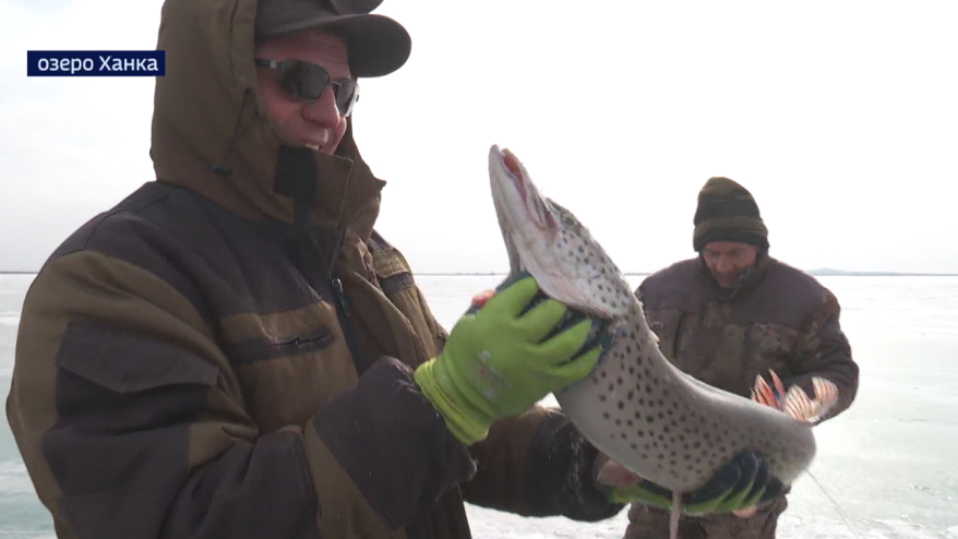    Источник фото: