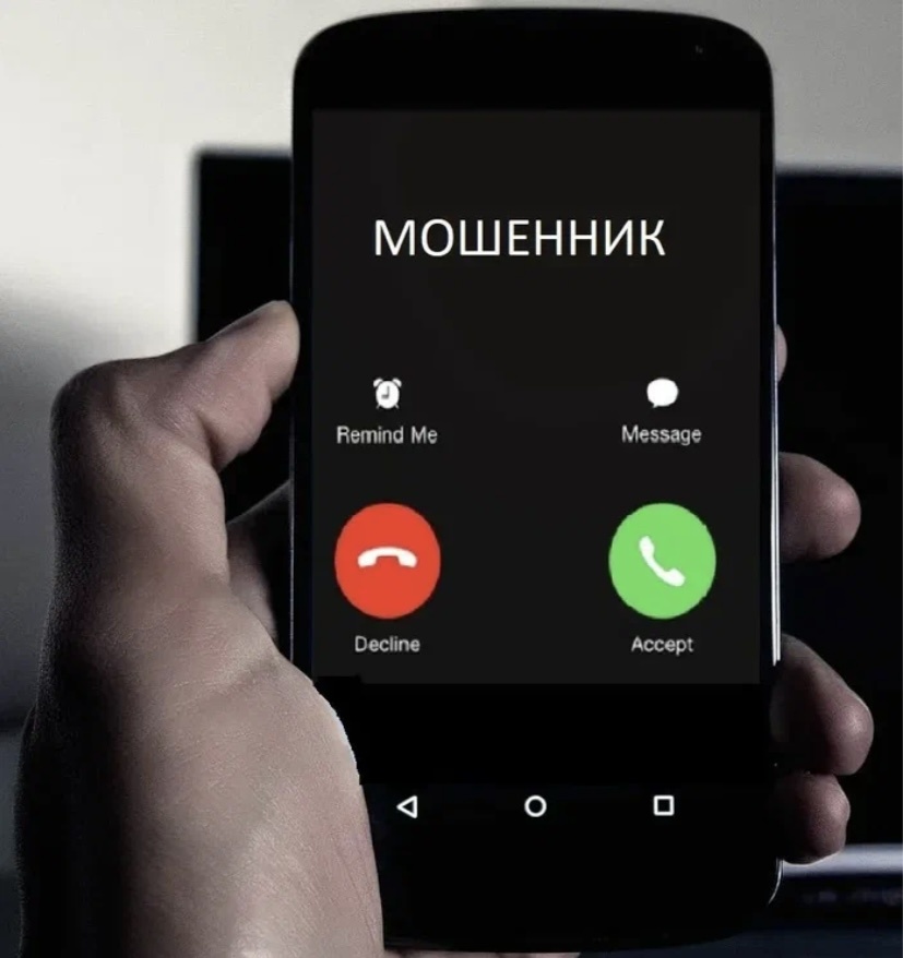 Фото из свободного доступа