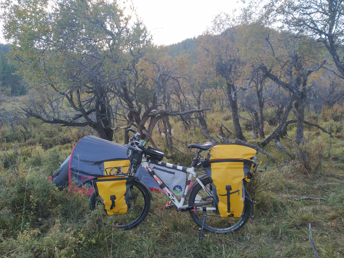 Холодное утро...