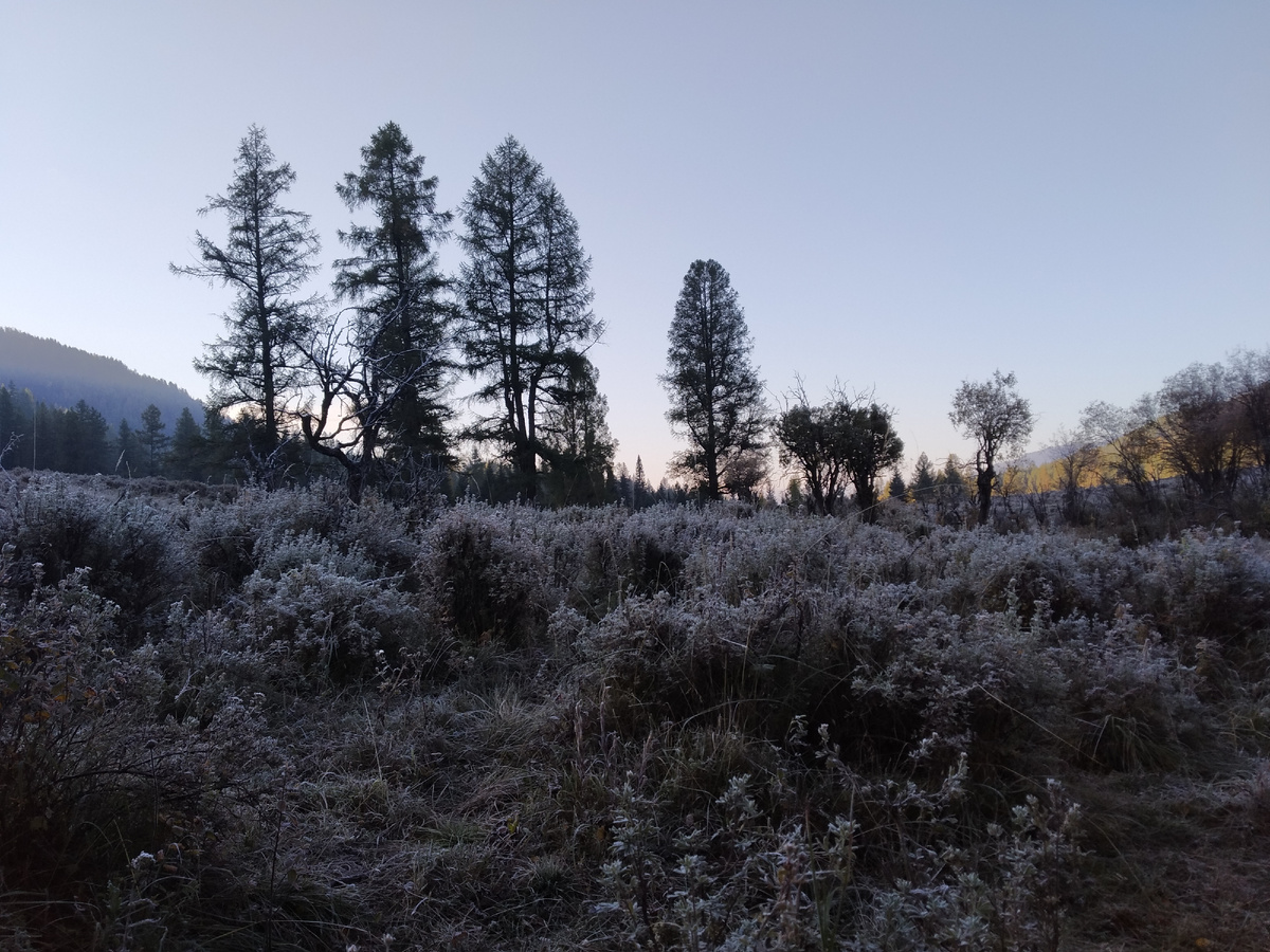 Солнышко медленно встаёт из-за горы