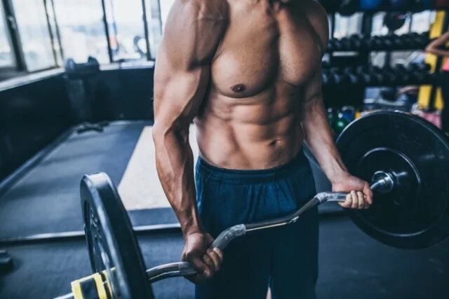    Где находится трицепс?