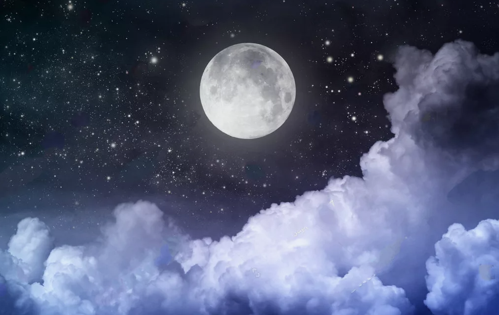 картинки Яндекс