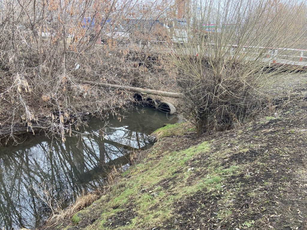 На территории у реки много мусора и кустарника