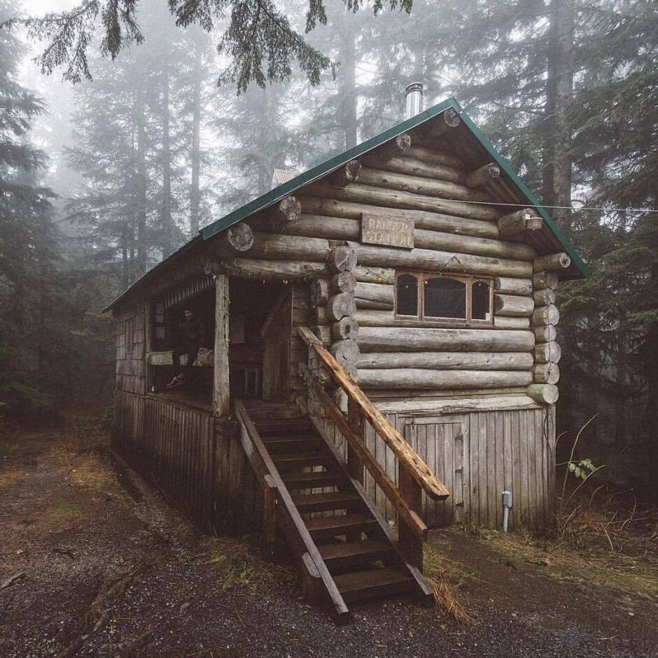 Фото из Яндекса