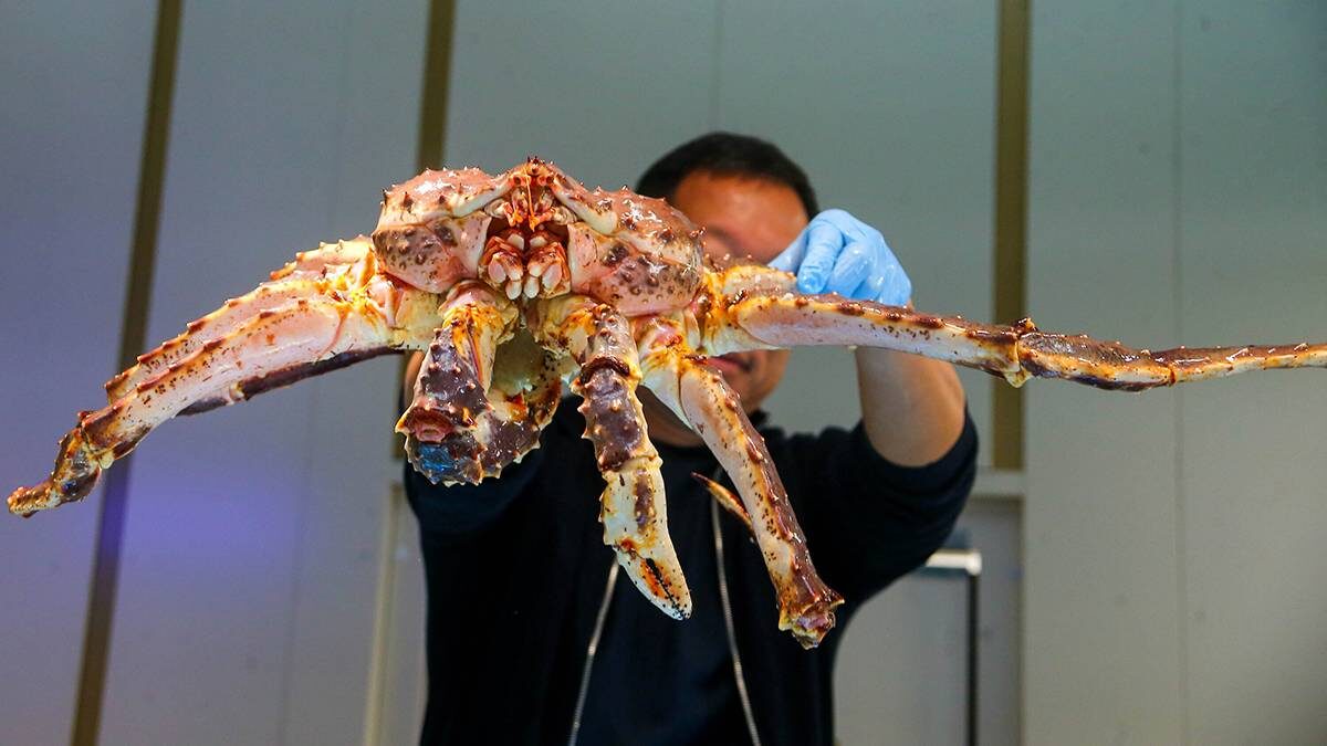    Фото: Сергей Ведяшкин / АГН Москва