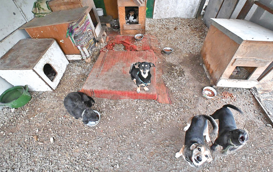 Фото: Гала Амарандо