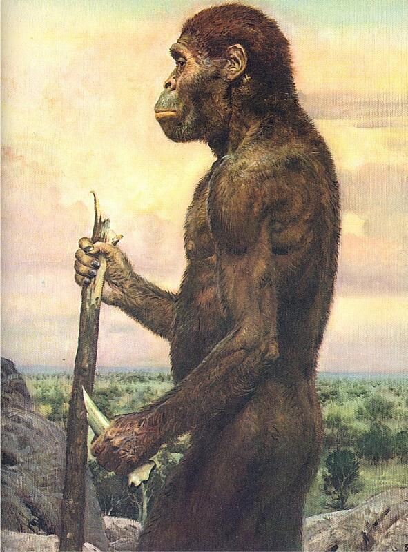 Скачено из открытых источников интернета.