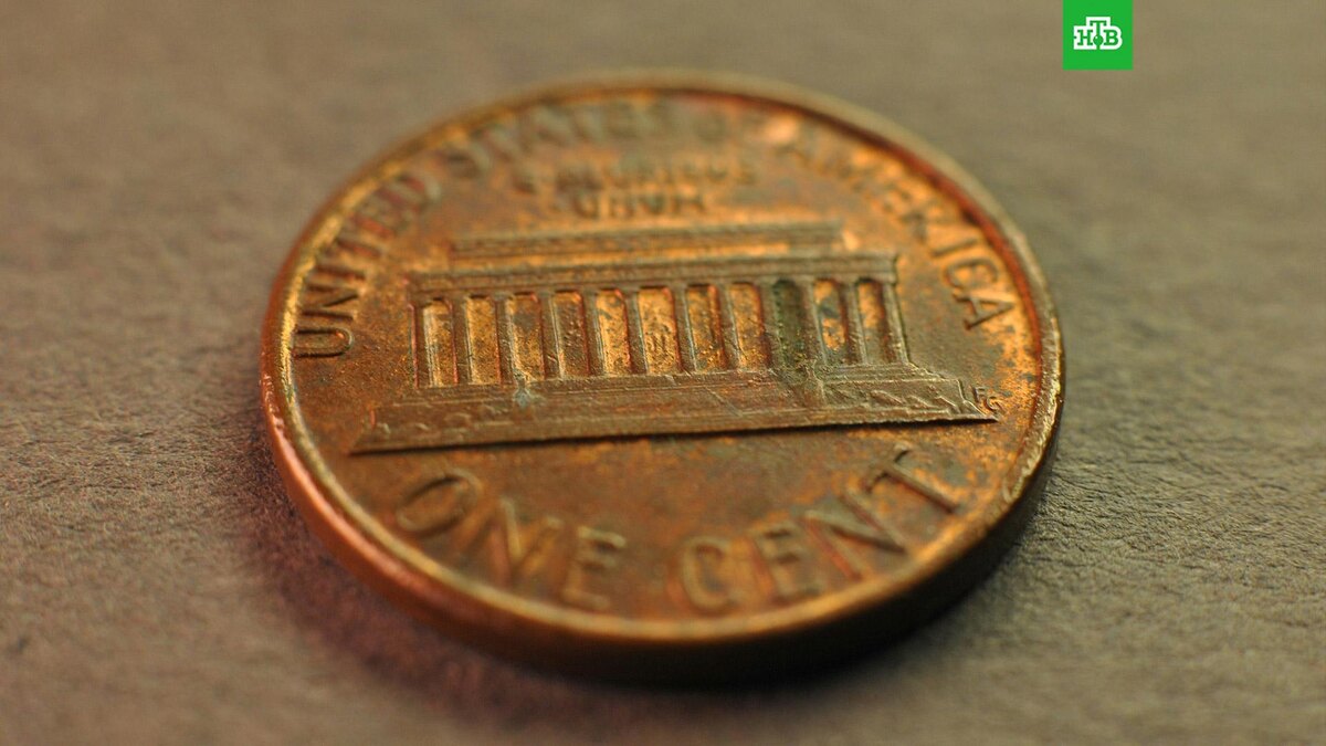    Фото: Roman Manshin / unsplash.com