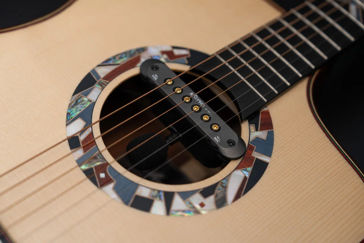 Звукосниматели на электроакустической гитаре MeridaExtrema Poison