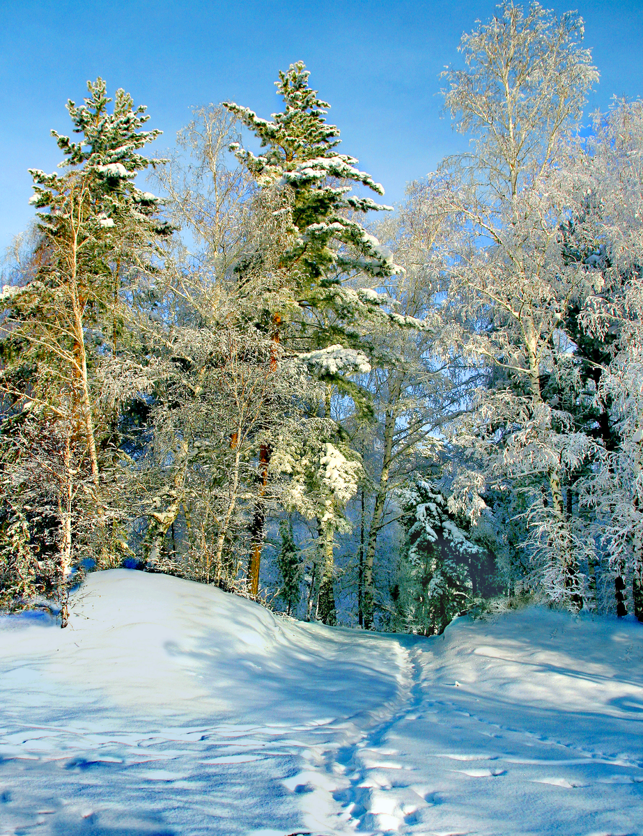 Фотография, стихотворение Василия Глуцкого
