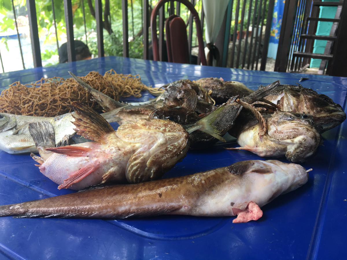 Гурзуф, Июнь 2018