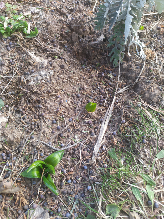 Личное фото