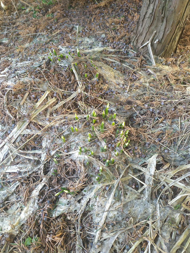 Личное фото